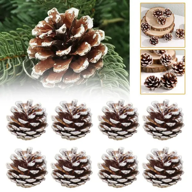 8x Pine Cones Christmas Wreath Making Supplies DIY Décor Pinecone Frosted J89C