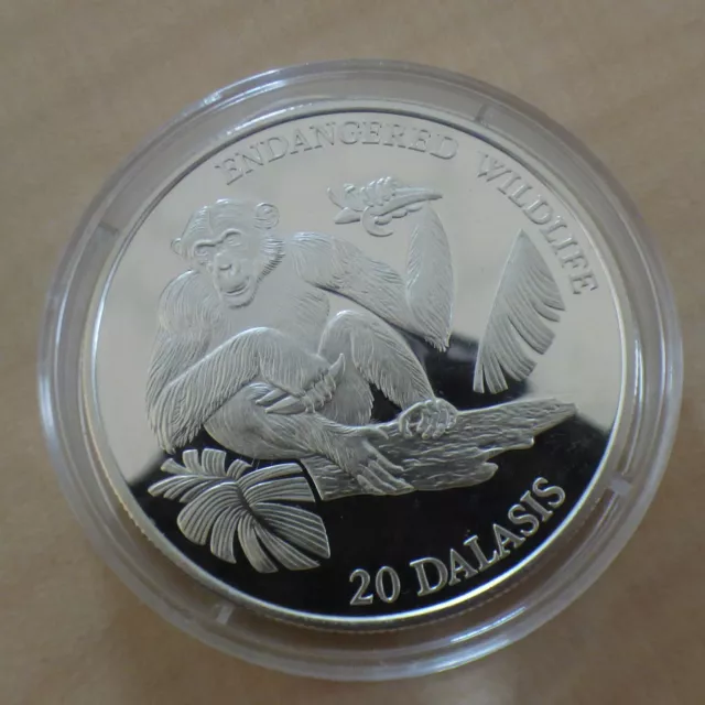 Gambia 20 Dalasis 1994 Chimpanzee PROOF silver 92.5% (31.5g) in capsule (argent)