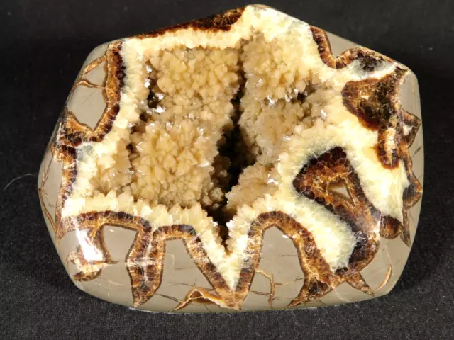 BIG! Free Form Polished AAA Septarian Crystal GEODE Sculpture! From Utah 1721gr