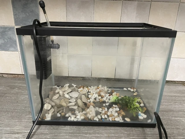 fish tank