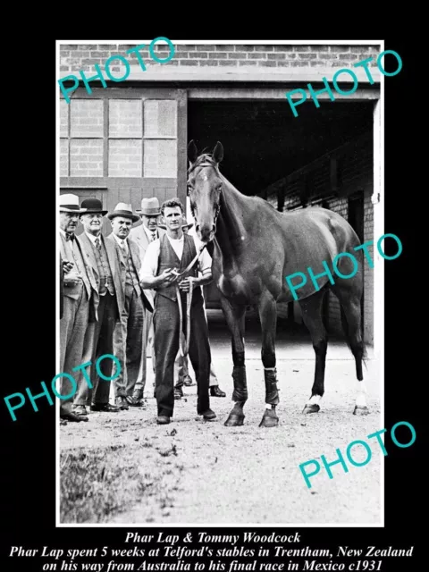 OLD LARGE HISTORIC PHOTO OF FAMOUS AUSTRALIAN RACE HORSE PHAR LAP IN NZ c1931 2