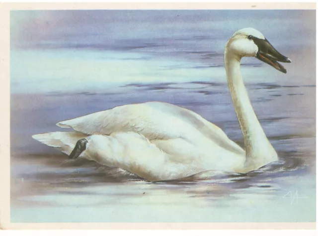 USSR postcard 1990 Swan charity issue "Moscow Zoo" artist ISAKOV