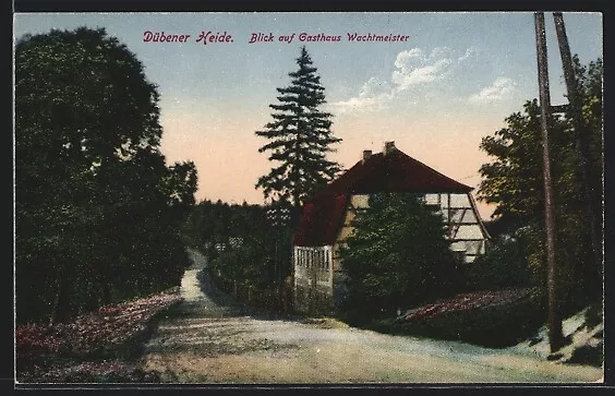 Ansichtskarte Schköna /Dübener Heide, Blick auf Gasthaus Wachtmeister 1918