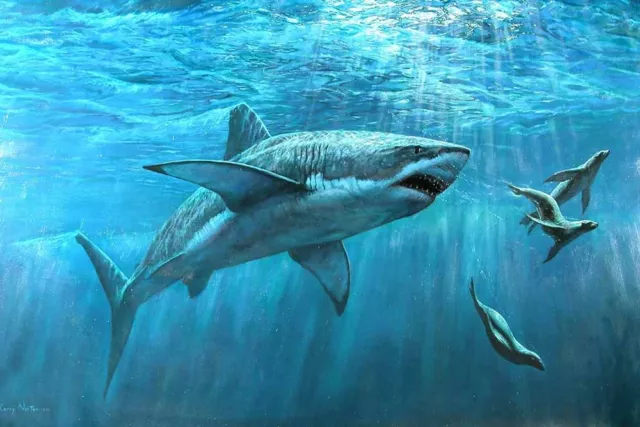 Home Art Wall Decor Shark And Seals Oil painting Picture Printed on canvas