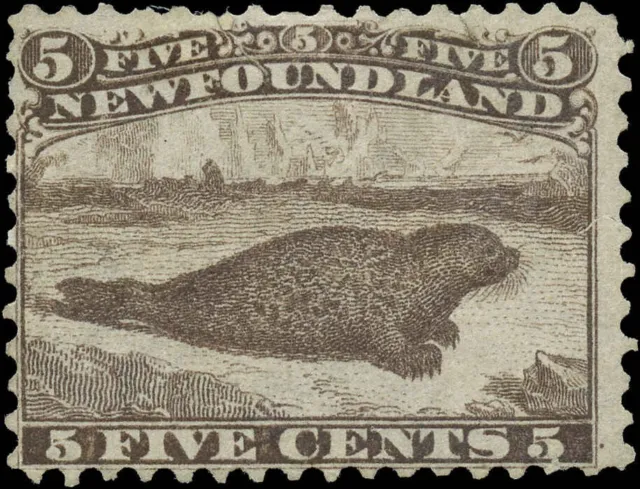 Canada Newfoundland Used F 5c Scott #26 1865-94 Harp Seal Stamp