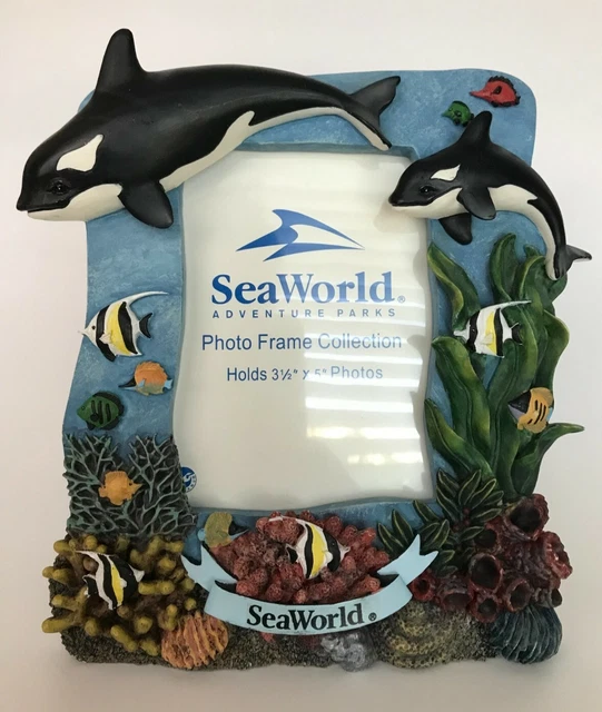 Sea World Adventure Parks 3D Killer Whale Orca  Photo Picture Frame