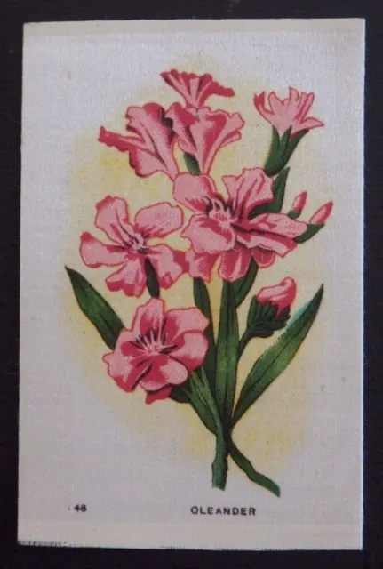 OLEANDER Garden Flowers of the World issued in 1913 SILK