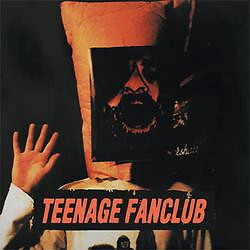 Teenage Fanclub - Deep Fried Fanclub - Used Vinyl Record - P1451A