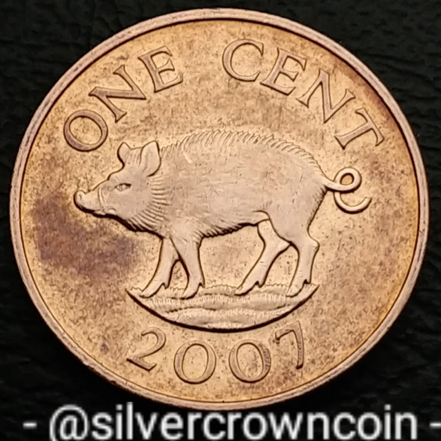 Bermuda 1 Cent 2007. KM#107. One Penny coin. Elizabeth II. Wild Boar. Animals.