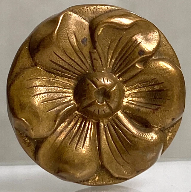 GRAND BOUTON ANCIEN Celluloïd 1900 Art Nouveau 44 mm EUR 24,00 - FR