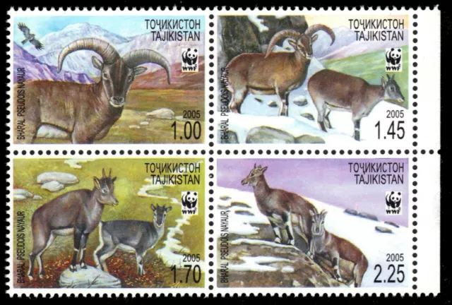 TAJIKISTAN 266 - Bharal Sheep "Pseudois nayaur" WWF (pb40571)