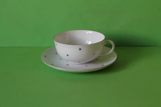 Arzberg Porzellan Form 1350 Kolibri Teetasse mit Untertasse Tasse Untere 02249