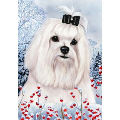 Winter House Flag - Maltese (Show) 15222