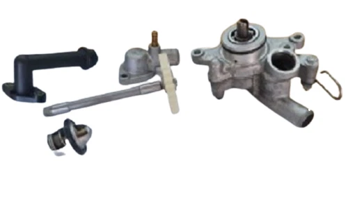 Kit Completo Pompa Acqua Originale Aprilia Per Leonardo 300 4T