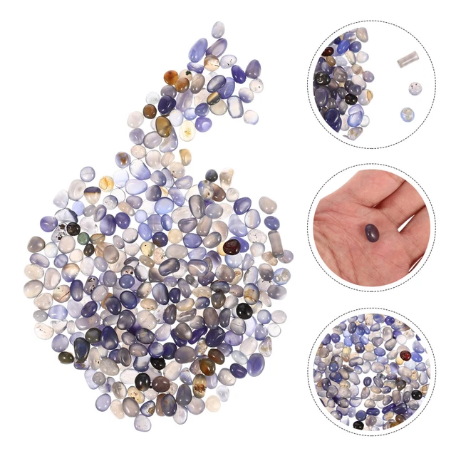 PIETRA LUCIDATA GHIAIA acquario rocce per acquario acquario succulente