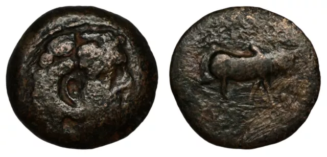 Seleukid Empire, Antiochos I Soter Æ. Mint: Aï Khanoum, circa 281-261 BC, RRR