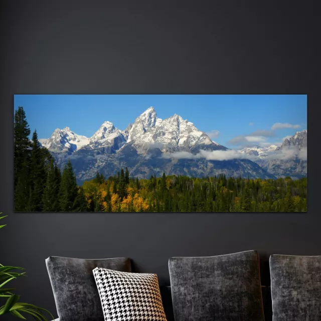 Glasbilder Echtglas Wandbilder Foto-Bild 125x50 Wald auf Berg Hintergrund