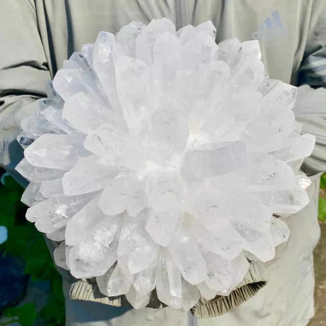 14.8LB New Find white Phantom Quartz Crystal Cluster Mineral Specimen Healing