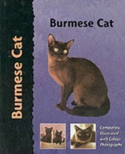 Pet Love Burmese Cat by Kelsey-Wood, Dennis Hardback Book The Fast Free Shipping