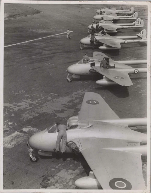 De Havilland Vampire F.3 Line Up Large Original Vintage Press Photo Raf 1