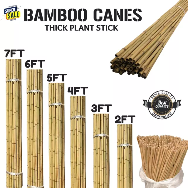 Bamboo Canes Garden Thick Support Plant Flower Strong Stick Cane Large Pole