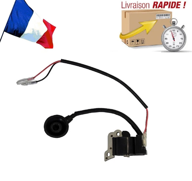 Alimentation secteur vidéoprojecteur QUMI 38