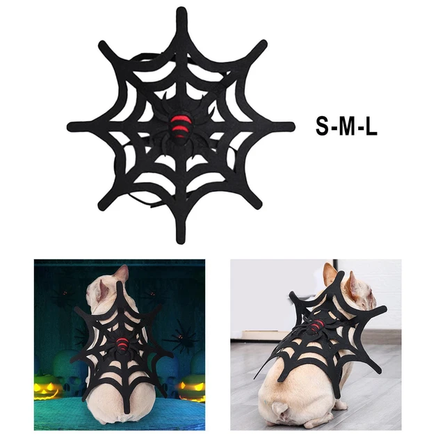 Costume da ragno per cani vestiti divertenti per gatti vestiti per Halloween