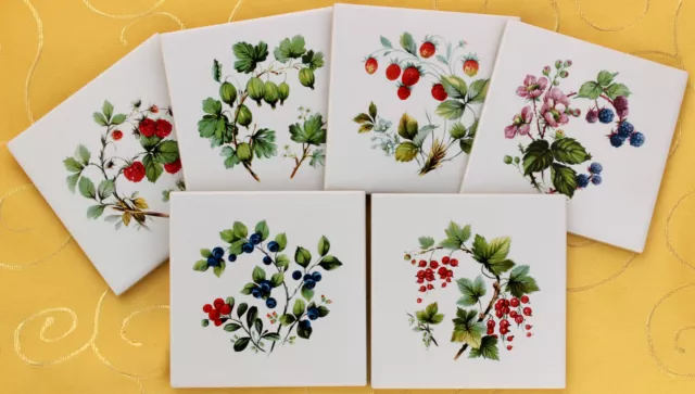 10x10 Fliesen Dekor Beeren Obst Erdbeere Blaubeere Himbeere (tile berry fruit)