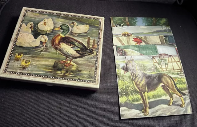 Würfel Puzzle Alt 5 Motive