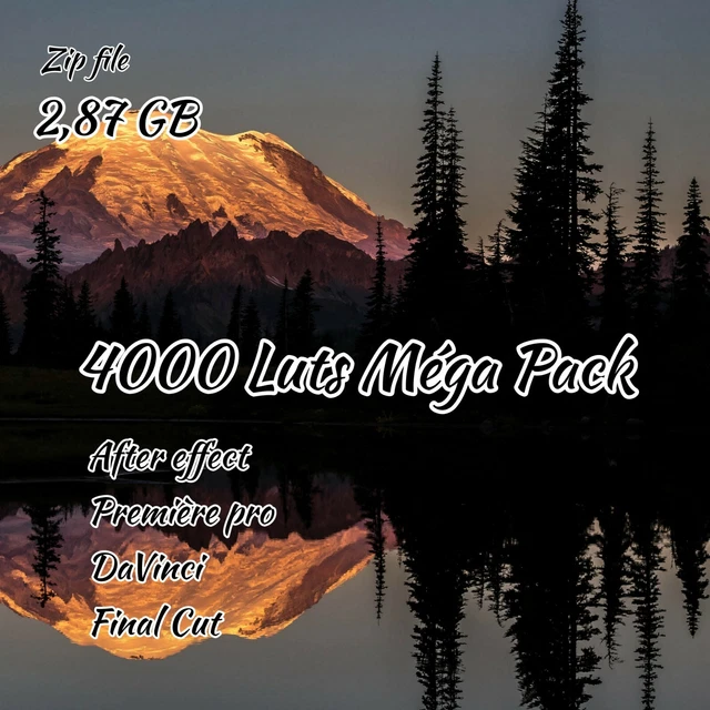 4000 LUTs Méga Pack
