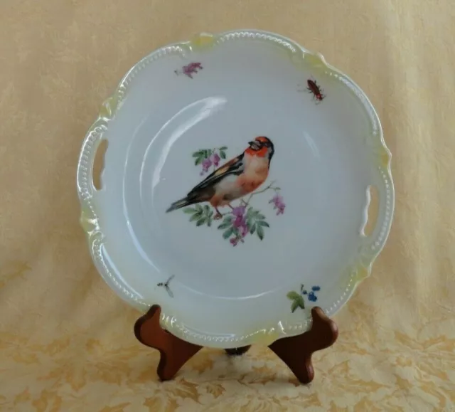 Koenigszelt Silesia Germany Bird and Insects Plate Circa 1922 - 1930