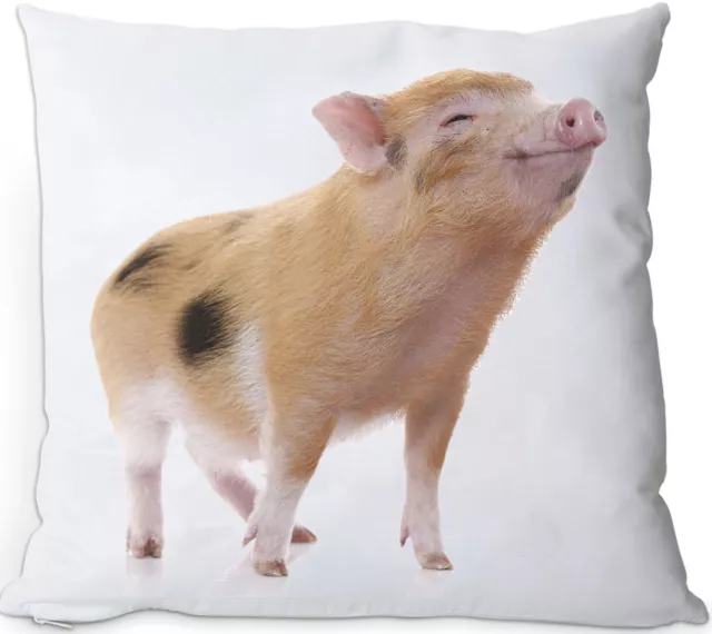 SCHWEIN - Kissen KUSCHELKISSEN seidig weich 35x35 Dekokissen + Füllung - PIG 08