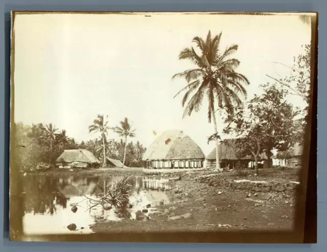 Samoa, Types de Samoa Vintage silver print. Fiji. फ़िजी  Tirage argentique d'é