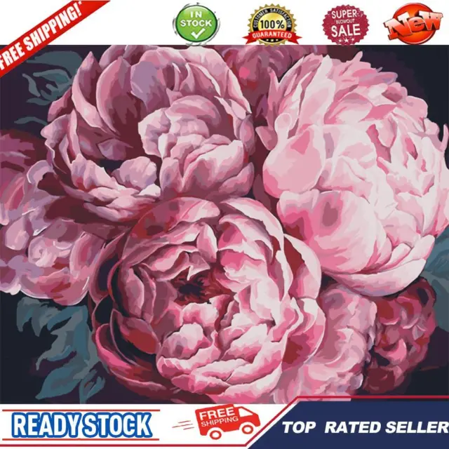 DIY Paint By Number Kit Frameless Pink Peony Flower Canvas Handpainted Handcraft