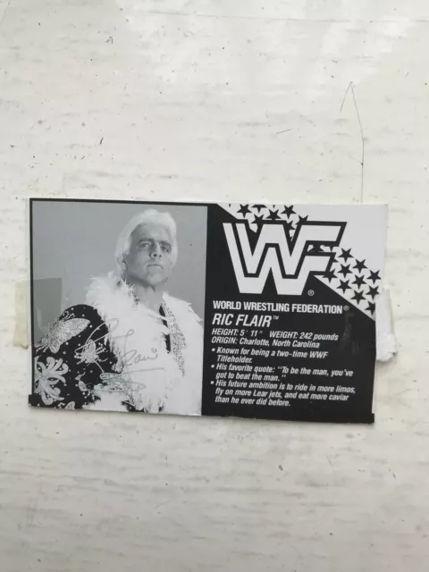 Wwe Ric Flair Hasbro Wrestling Figure Bio Card Wwf Serie 6 Biocard