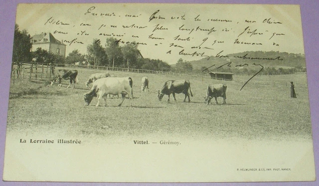 Carte Postale Ancienne CPA 88 Vittel - La Gare (Vosges, France)