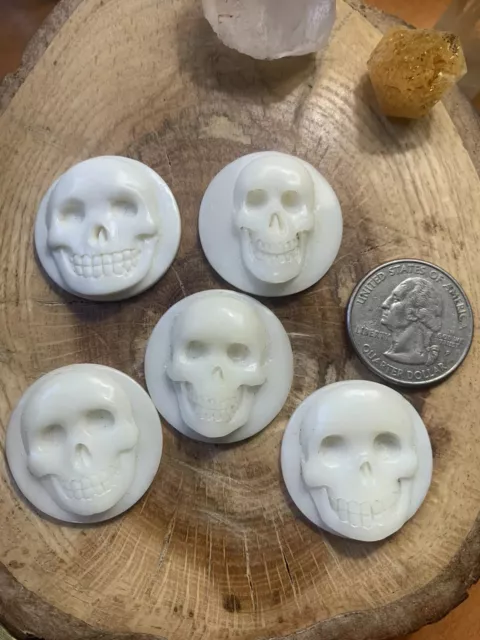 Bone cabochon Lot Of 5 Hand carved Skull Made From Water buffalo