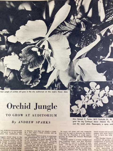 Atlanta GA Print Article 1949 AJC Orchid Flower Sam Porter 2612 Parkside Drive