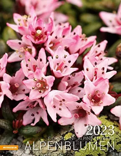 9788868395872 Alpenblumen-Fiori alpini-Alpine flowers. Calendario 2023 - Aa.Vv.