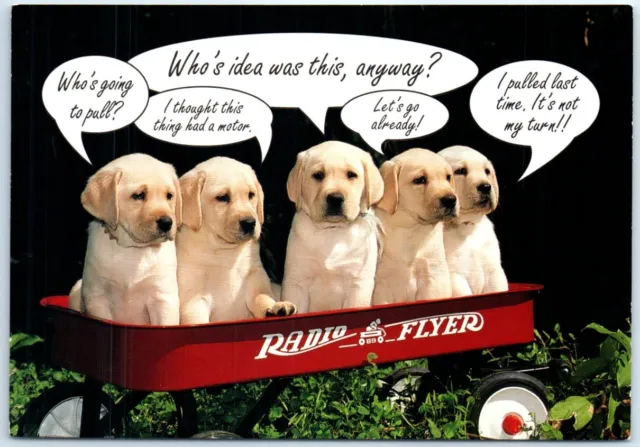 Postcard - Five Puppies in Pull Cart