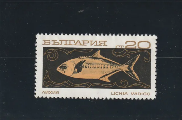 L5854 BULGARIE  timbre N° Y&T 1739 de 1969 " Lichia Vadigo" Oblitéré