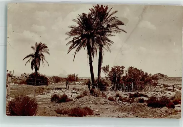 139467667 - Plantation Colony Colonies German Southwest Africa