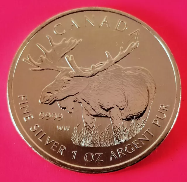 2012 Canada 5$ 1 Oz Wildlife Series Moose .9999 Fine Silver Coin