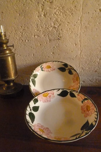 2 assiettes creuses Villeroy et Boch modèle Wild Rose Très bon état