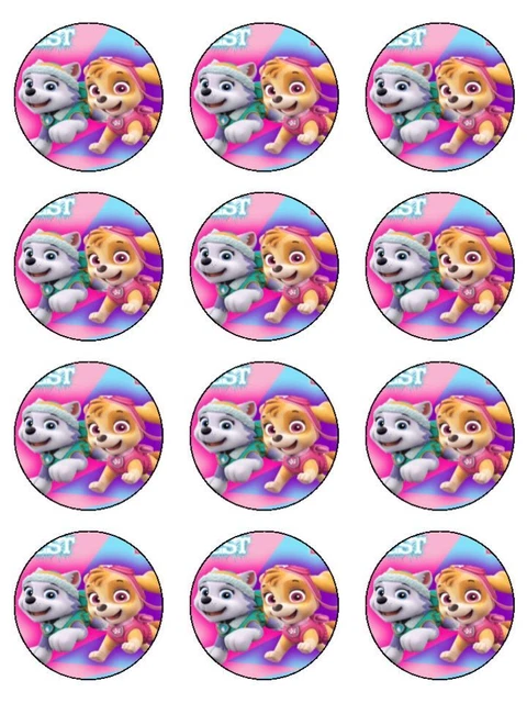 PAW PATROL SKYE Cupcake Toppers Edible Wafer Paper Cake Decorations 24 ...