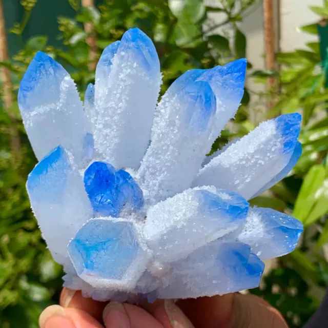 406G New Find sky blue Phantom Quartz Crystal Cluster Mineral Specimen Healing 2