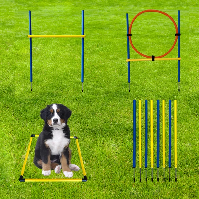Juego de entrenamiento Agility para perros con obstáculo, bolsa, anillo, entrenamiento para perros