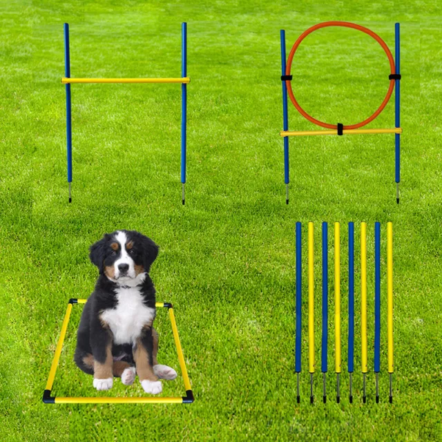 Set addestramento agilità per cani con ostacolo, borsa, anello, addestramento cani
