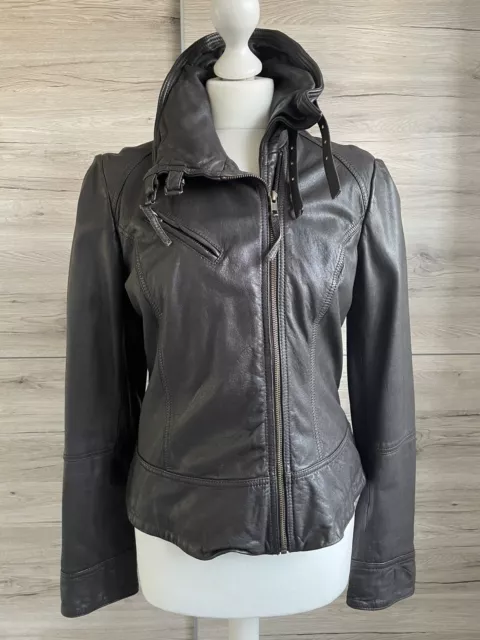 All saints belvedere jacket sale