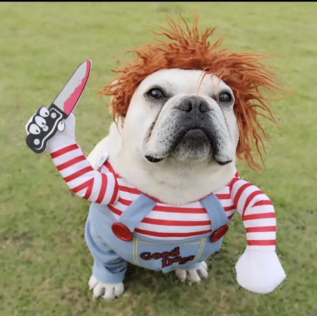 Costumi Halloween Animali Domestici, Costume Di Halloween per Cani